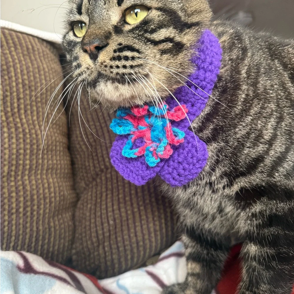 Handmade Purple Cat / small dog scarf with Multicolor Accents